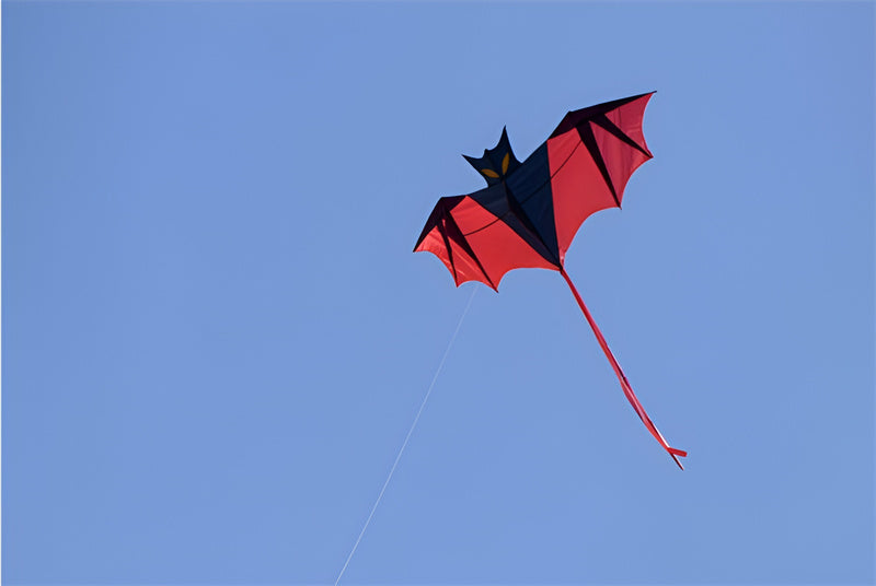 free shipping 3d dragon kite for kids kite nylon toys fly kites children kite line weifang bird kite factory ikite eagle
