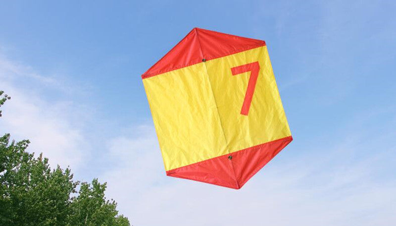 free shipping large kite for adults flying kite outdoor toy beach eagle kites dragon cartoon soft kite board 3d power kite