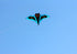 free shipping bat kite flying set toys for children kite reel nylon kite factory windsurf animal kite factory professional kite