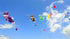 free shipping large inflatable kite tiger kite outdoor toys giant dragon kite string reel animal kites buggy panda bear kites