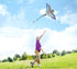free shipping 5pcs/lot dragon kite wholesale toys fly kites children kite factory weifang eagle kite Chinese traditional kites