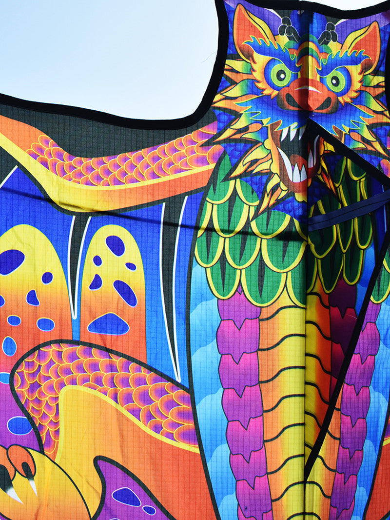free shipping large kite for adults flying kite outdoor toy beach eagle kites dragon cartoon soft kite board 3d power kite