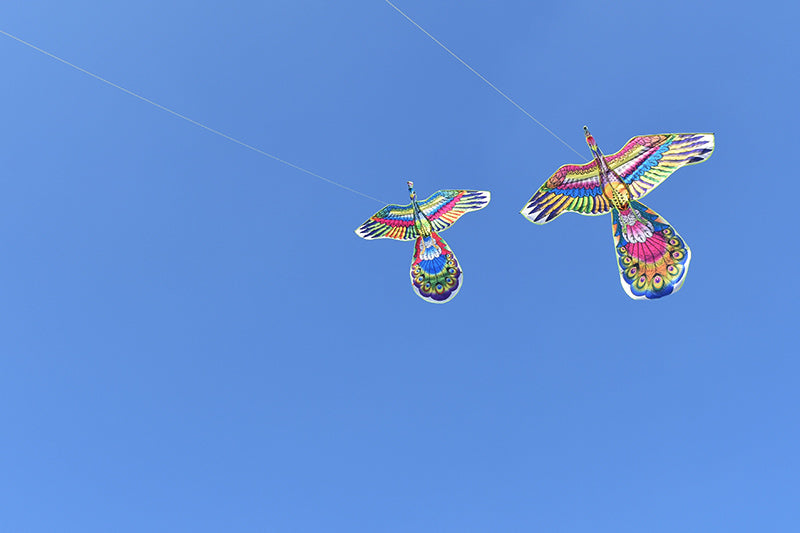 free shipping large Peacock kite flying nylon kite tails weifang kites factory child kite toys for kids outdoor parachute surf