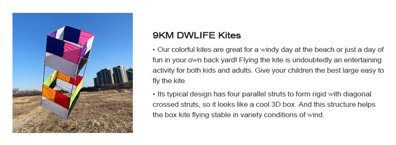 Free Shipping Traditional 3D Box Kite 85cm*30cm For Kids Easy to Fly Fun Toys Sports Outdoor Adults Beginners With Handle & 100m Line