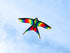 free shipping rainbow bird kite for kids kite nylon toys flying kites children kite line weifang large kite factory ikite store
