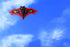 free shipping bat kite flying set toys for children kite reel nylon kite factory windsurf animal kite factory professional kite