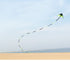 free shipping large delta kite for adults kite nylon toys fly kites children kite reel weifang kite factory ikite eagle bird new