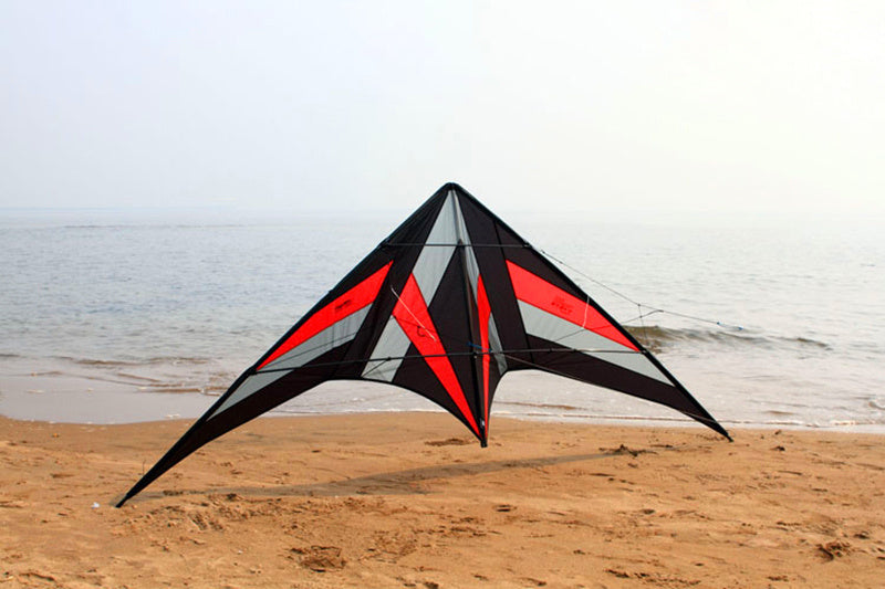 free shipping 250cm Professional Stunt kite Falcon kites flying Ballet Formation Kite factory Freilein kite dual line for adults