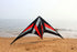 free shipping 250cm Professional Stunt kite Falcon kites flying Ballet Formation Kite factory Freilein kite dual line for adults