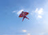free shipping large swallow kite flying toys wheel chinese traditional kite nylon fabric ripstop kids kite weifang kite factory