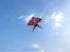 free shipping 10pcs/lot swallow kites flying children kites for adults cerf volant cometas nylon kite factory wholesale dragon