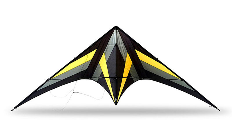 free shipping 250cm Professional Stunt kite Falcon kites flying Ballet Formation Kite factory Freilein kite dual line for adults