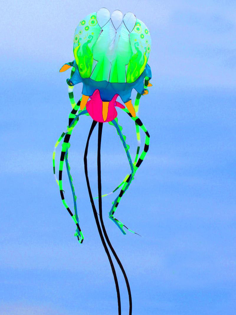 free shipping jellyfish kite flying soft kite reel for adults kites walk in sky octopus kites trilobites kites professional kite