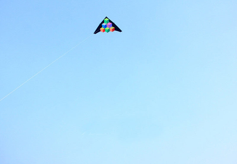 free shipping step by step delta kite fly for outdoor toys parachute kite for adults kite line large kite reel factory albatross