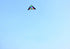 free shipping step by step delta kite fly for outdoor toys parachute kite for adults kite line large kite reel factory albatross
