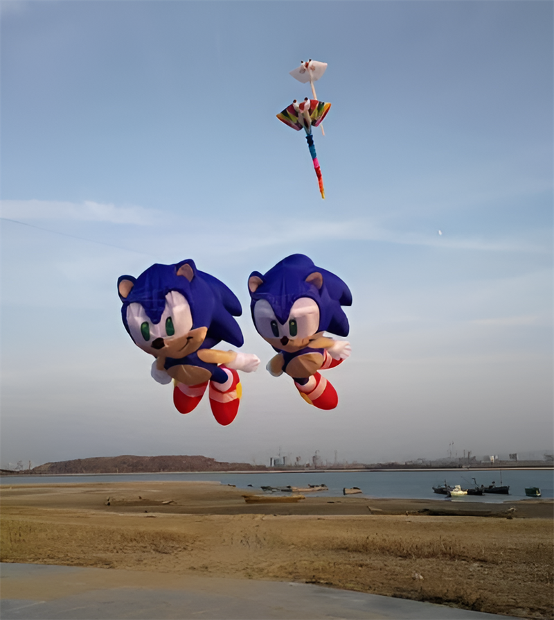 new kites for adults sing kite Single line kite aircraft Kite flying outdoor games garden child outdoor toys parachute flying