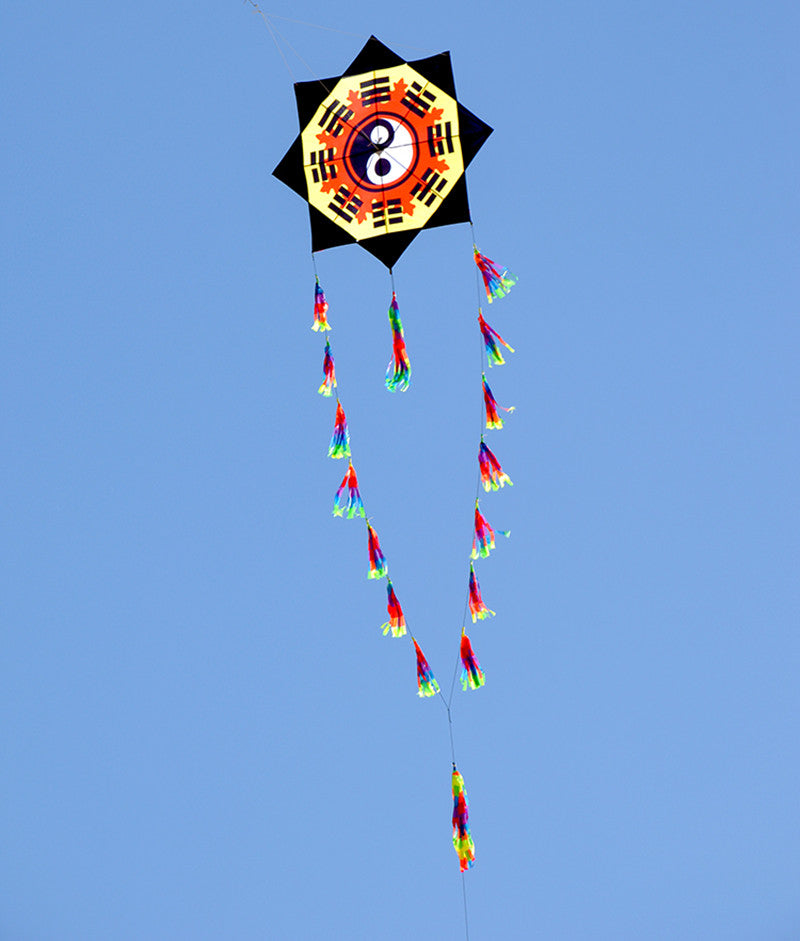 free shipping new gossip kite fly for outdoor toys parachute kites for adults electric shocker snake coil spinnaker balloons