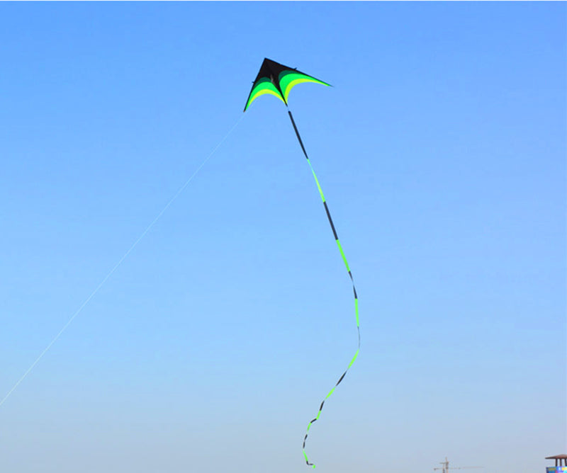 free shipping large delta kite for adults kite nylon toys fly kites children kite reel weifang kite factory ikite eagle bird new