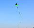 free shipping large delta kite for adults kite nylon toys fly kites children kite reel weifang kite factory ikite eagle bird new