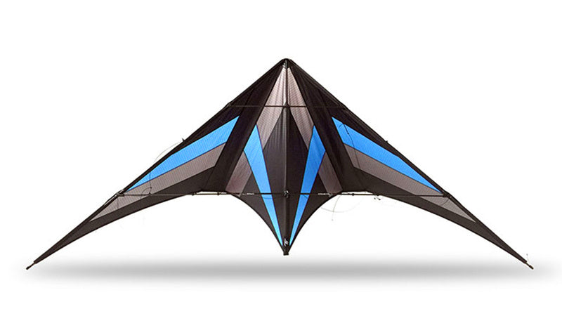 free shipping 250cm Professional Stunt kite Falcon kites flying Ballet Formation Kite factory Freilein kite dual line for adults