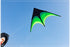 free shipping large delta kite for adults kite nylon toys fly kites children kite reel weifang kite factory ikite eagle bird new