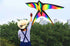 free shipping rainbow bird kites toys for kids kites nylon kites children kites snake flying line weifang kite factory eagle koi