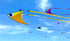 free shipping city elf kite for adults kites flying cometas infantiles kite cometa large eagle kite ripstop nylon fabric kite