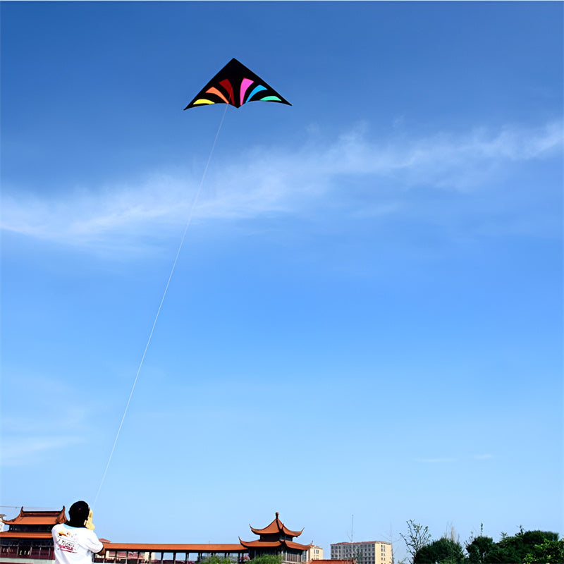 free shipping rainbow delta kites for adults reel windsocks kite flying children kite string weifang kite factory Single line