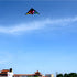 free shipping rainbow delta kites for adults reel windsocks kite flying children kite string weifang kite factory Single line