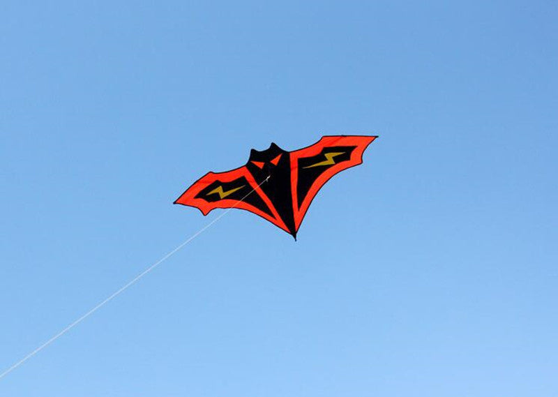free shipping bat kite flying set toys for children kite reel nylon kite factory windsurf animal kite factory professional kite