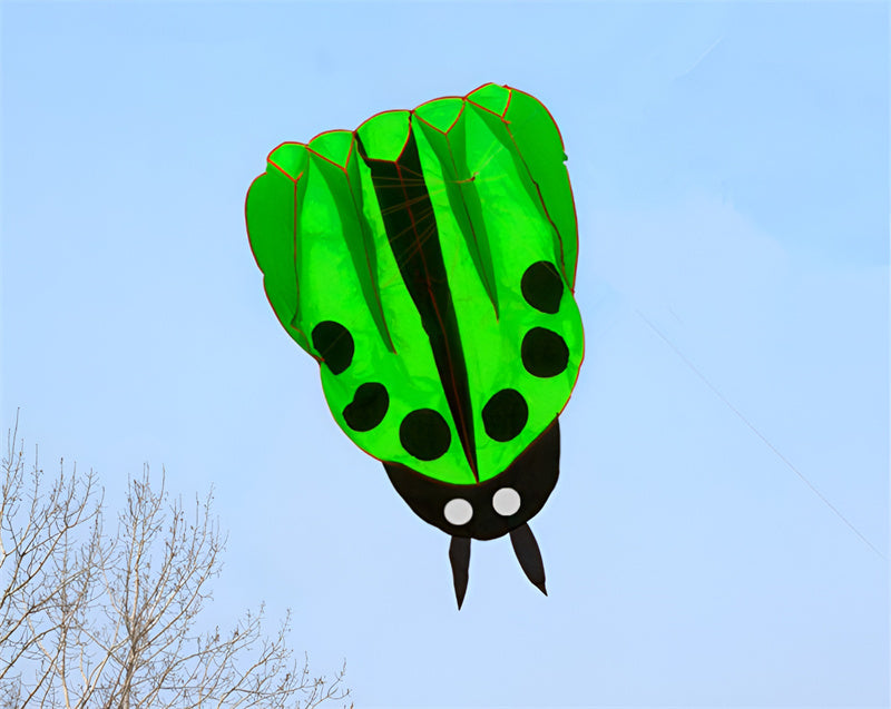 free shipping large ladybug kite buggy animated kites for kids inflatable kite handle fish weifang soft kite factory ikite