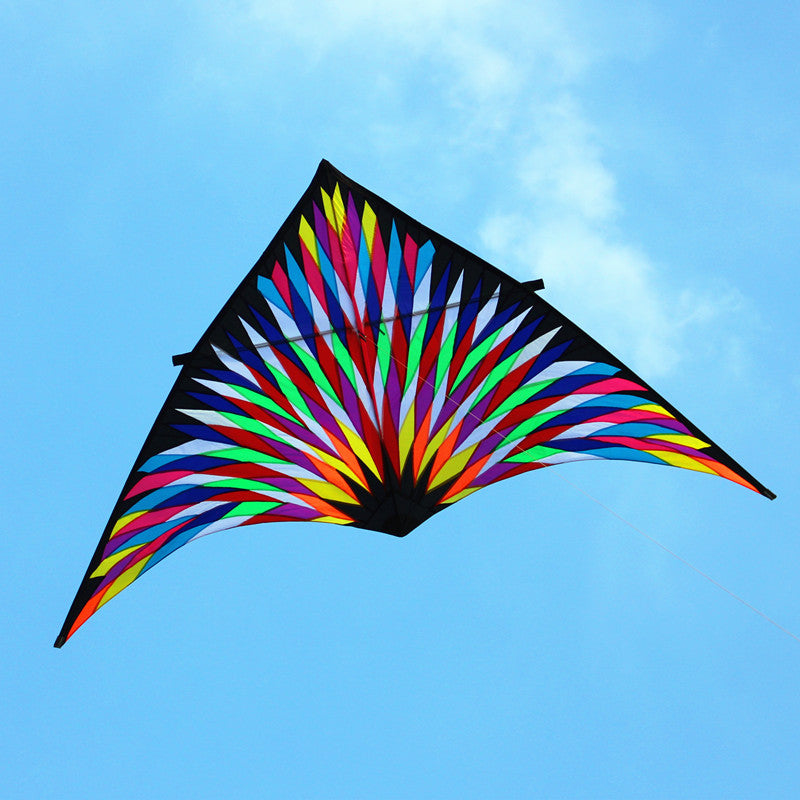 free shipping 6sqm large delta kite for adults reel outdoor toys for kids parachute kite kevlar line weifang factory kitesurf