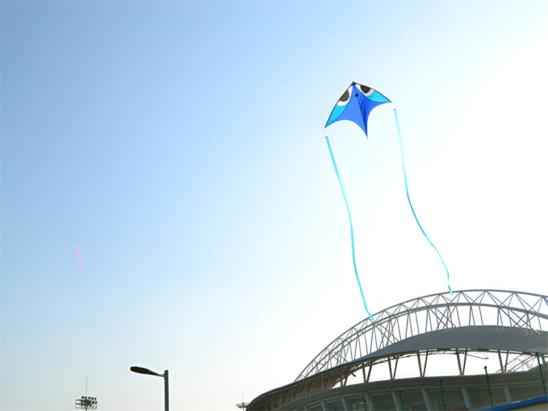 free shipping city elf kite for adults kites flying cometas infantiles kite cometa large eagle kite ripstop nylon fabric kite