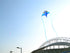 free shipping city elf kite for adults kites flying cometas infantiles kite cometa large eagle kite ripstop nylon fabric kite