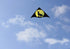 free shipping large wolf kite flying for kids wind kites adults kites string line parapent cerf paragliding parplan outdoor toys