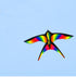 free shipping rainbow bird kites toys for kids kites nylon kites children kites snake flying line weifang kite factory eagle koi