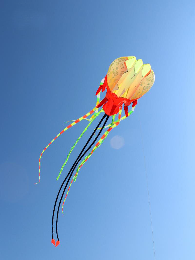 free shipping jellyfish kite flying soft kite reel for adults kites walk in sky octopus kites trilobites kites professional kite