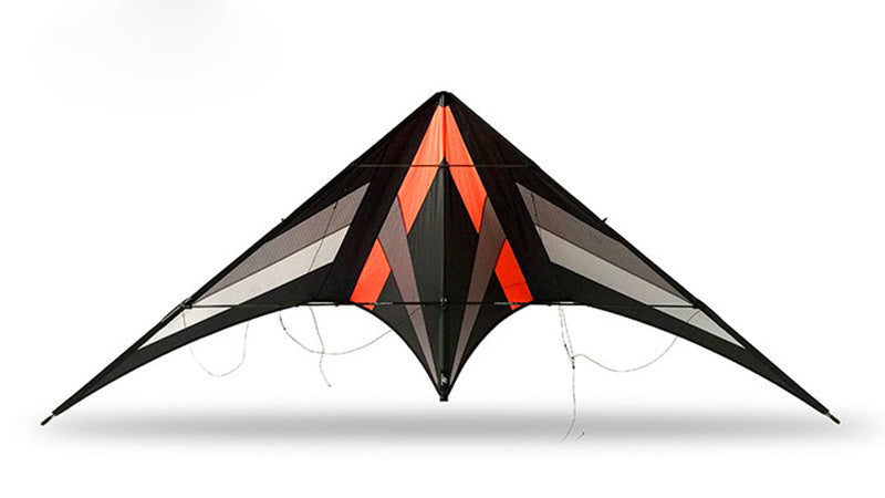 free shipping 250cm Professional Stunt kite Falcon kites flying Ballet Formation Kite factory Freilein kite dual line for adults