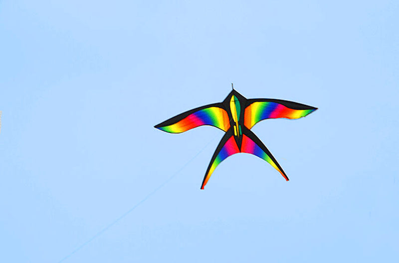 free shipping rainbow bird kites toys for kids kites nylon kites children kites snake flying line weifang kite factory eagle koi