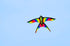 free shipping rainbow bird kites toys for kids kites nylon kites children kites snake flying line weifang kite factory eagle koi
