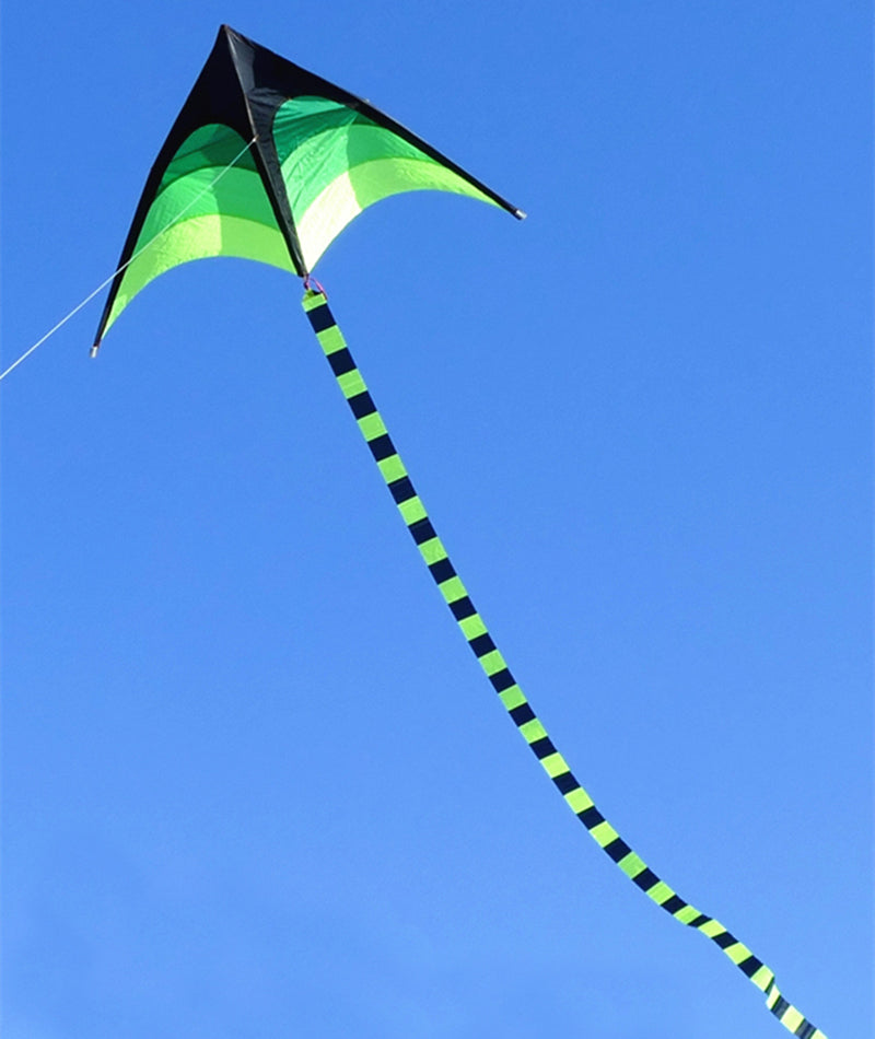 free shipping large delta kite for kids kite nylon toys flying kites rainbow kite line weifang eagle kite factory ikite reel