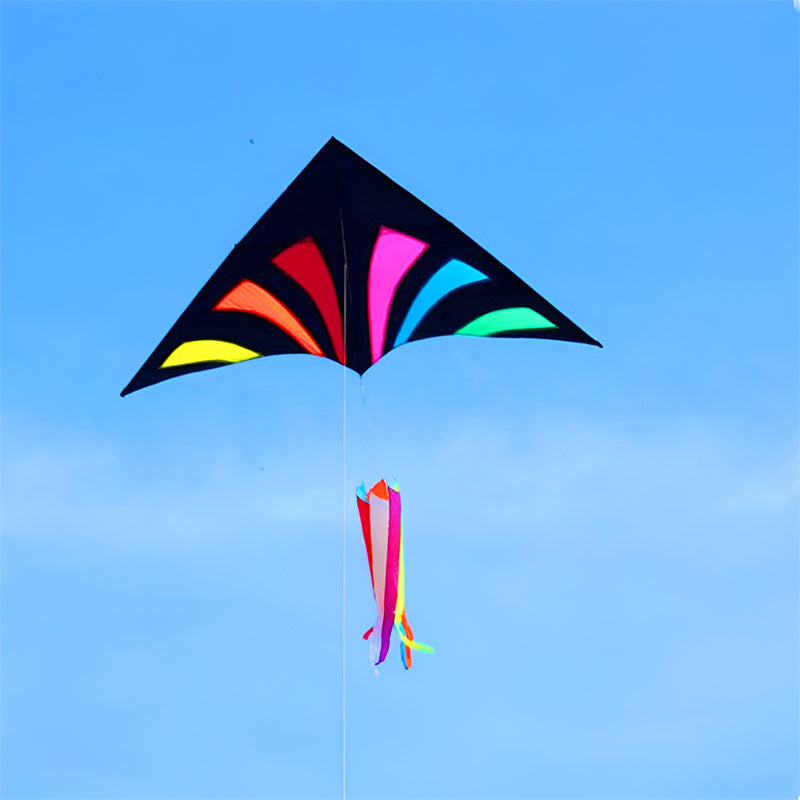 free shipping rainbow delta kites for adults reel windsocks kite flying children kite string weifang kite factory Single line