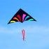 free shipping rainbow delta kites for adults reel windsocks kite flying children kite string weifang kite factory Single line