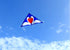free shipping large swan kite for adults kite nylon toys fly kites children kite reel weifang bird kite factory ikite eagle new
