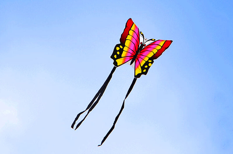 free shipping large kite for adults flying kite outdoor toy beach eagle kites dragon cartoon soft kite board 3d power kite