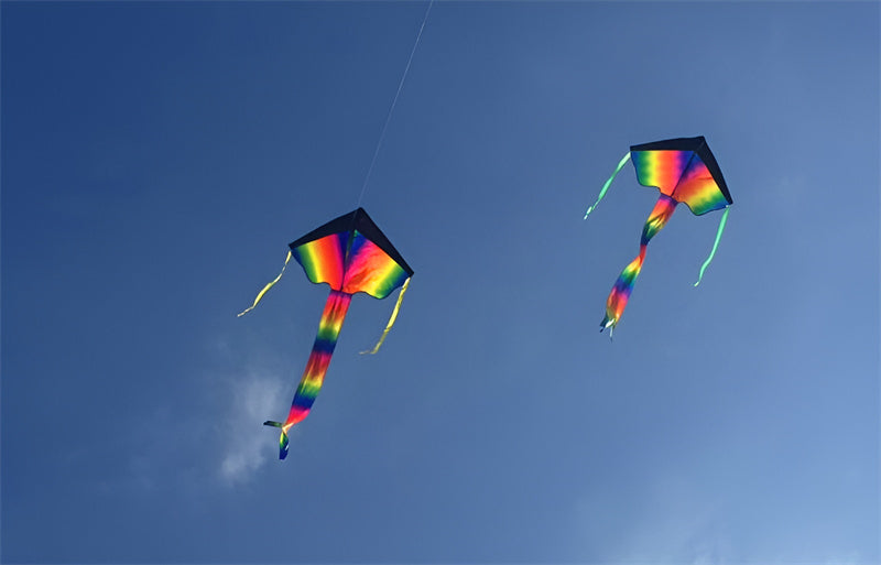 free shipping rainbow bird kite for kids kite nylon toys flying kites children kite line weifang large kite factory ikite store