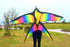 free shipping rainbow bird kite for kids kite nylon toys flying kites children kite line weifang large kite factory ikite store