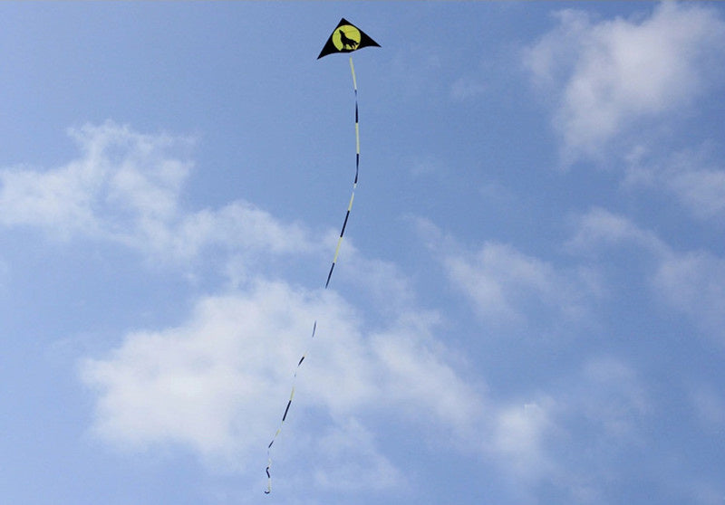 free shipping large wolf kite flying for kids wind kites adults kites string line parapent cerf paragliding parplan outdoor toys