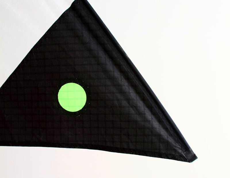 free shipping Ultra-light single line kites deep sea ghost kite for adults flying indoor kites handle line pc31 fabric parachute