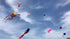 free shipping new 13m large octopus kites for adult flying toys kite reel ripstop nylon kevlar paragliding outdoor